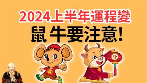 2024鼠年運程1996|96年鼠人2024年運程大公開